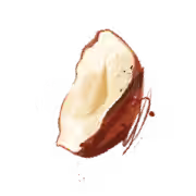 Hazelnut image