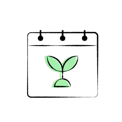 Green seedling
